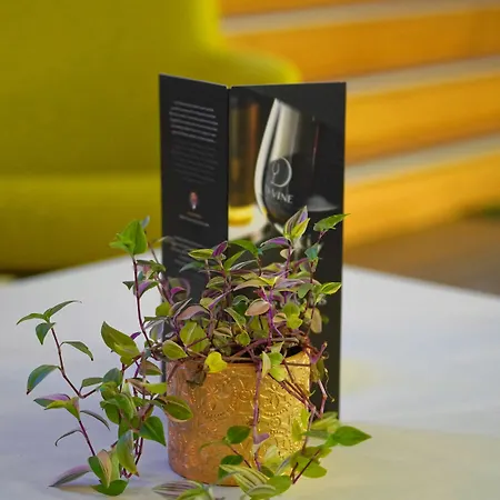 Hotel Luxotel Cannes